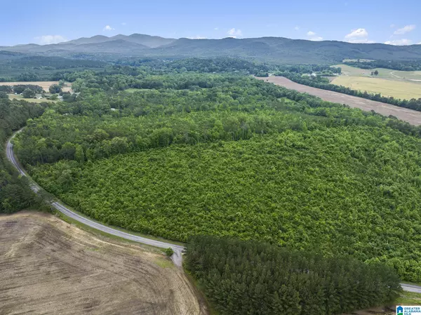 Centre, AL 35960,0 COUNTY ROAD 12 #23.940