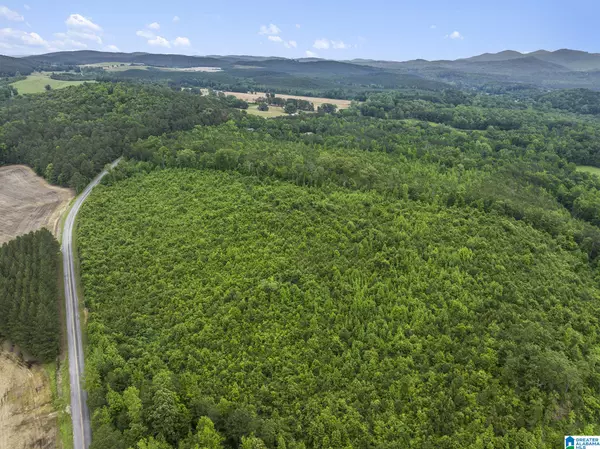 0 COUNTY ROAD 12 #23.940, Centre, AL 35960