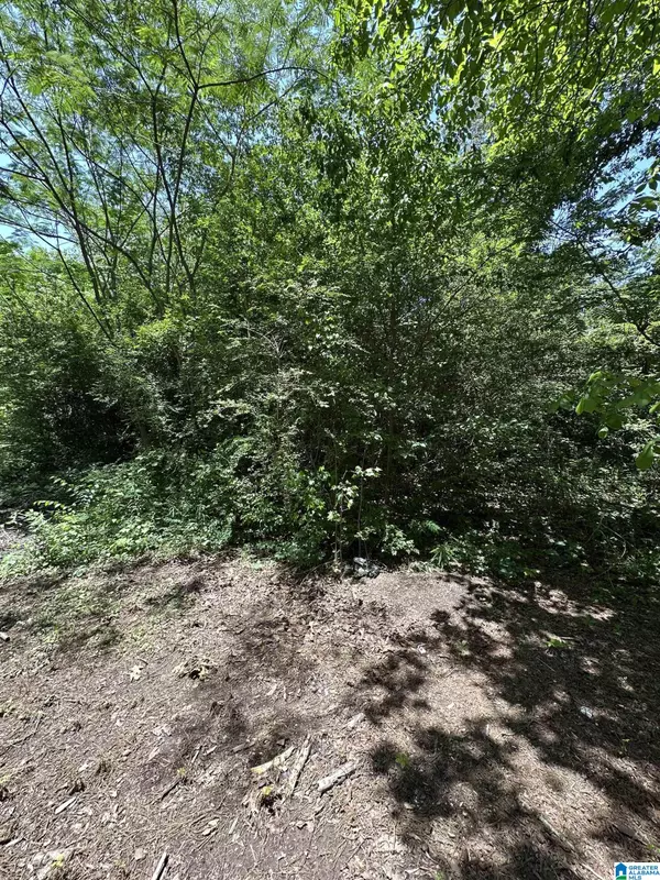 Irondale, AL 35210,2716 MARY TAYLOR ROAD #00