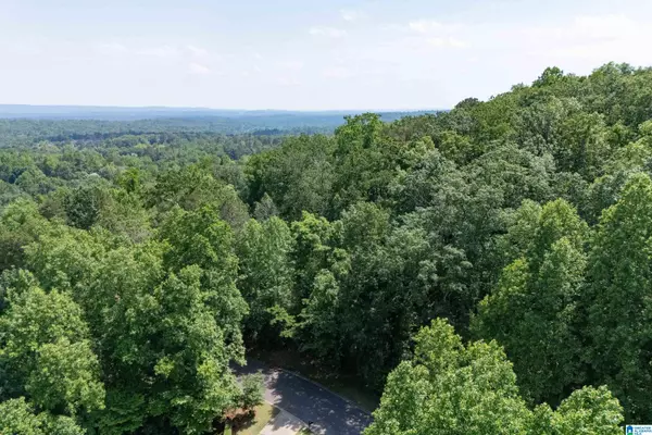 Vestavia Hills, AL 35243,1961 ROCKY BROOK DRIVE #11