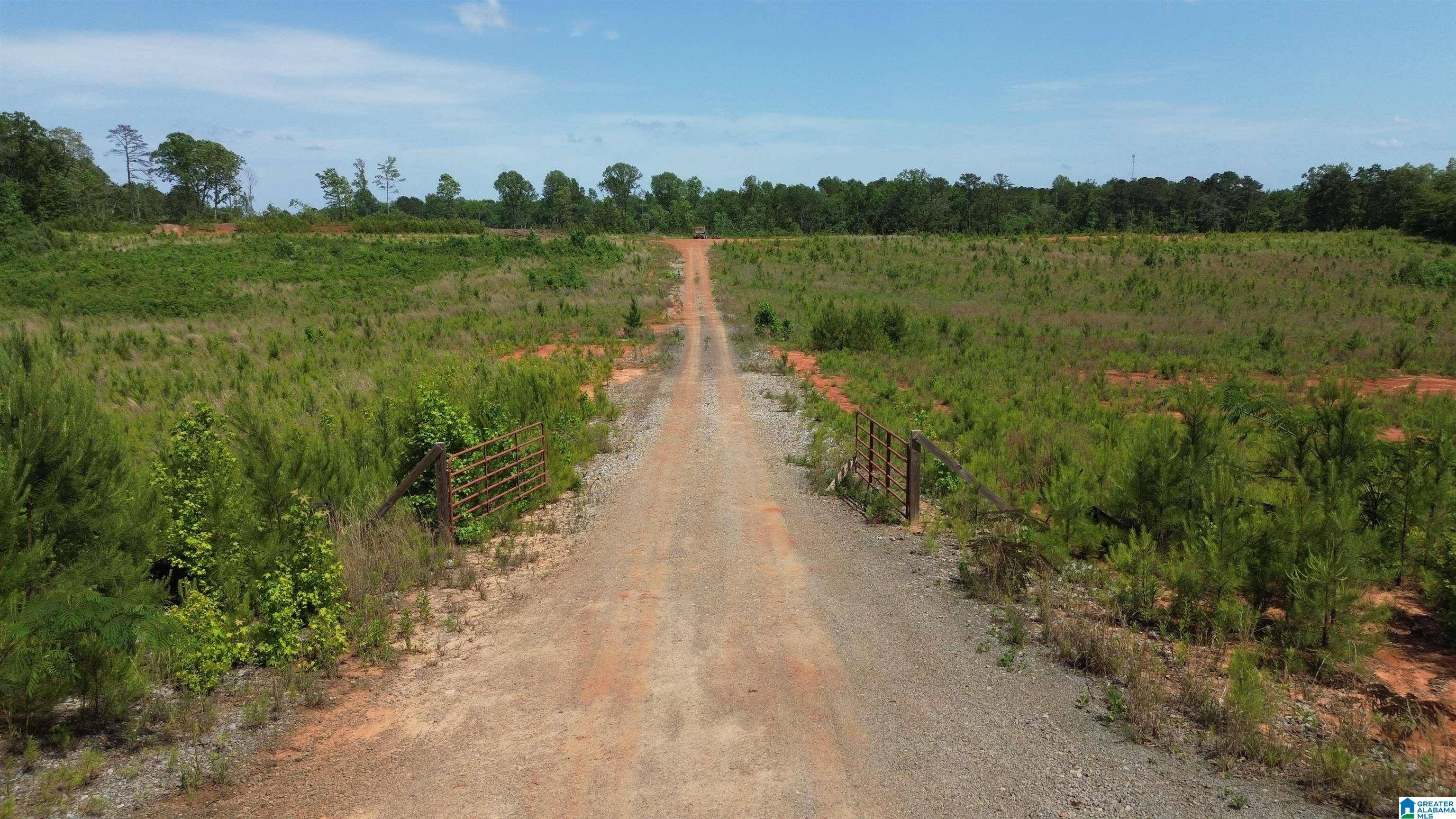 10013 COVERED BRIDGE ROAD, Brookwood, AL 35444