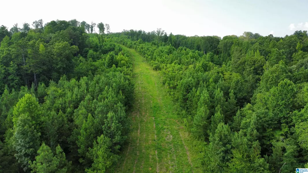 6265 COUNTY ROAD 10 #0, Heflin, AL 36264