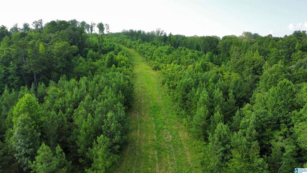 6265 COUNTY ROAD 10 #0, Heflin, AL 36264