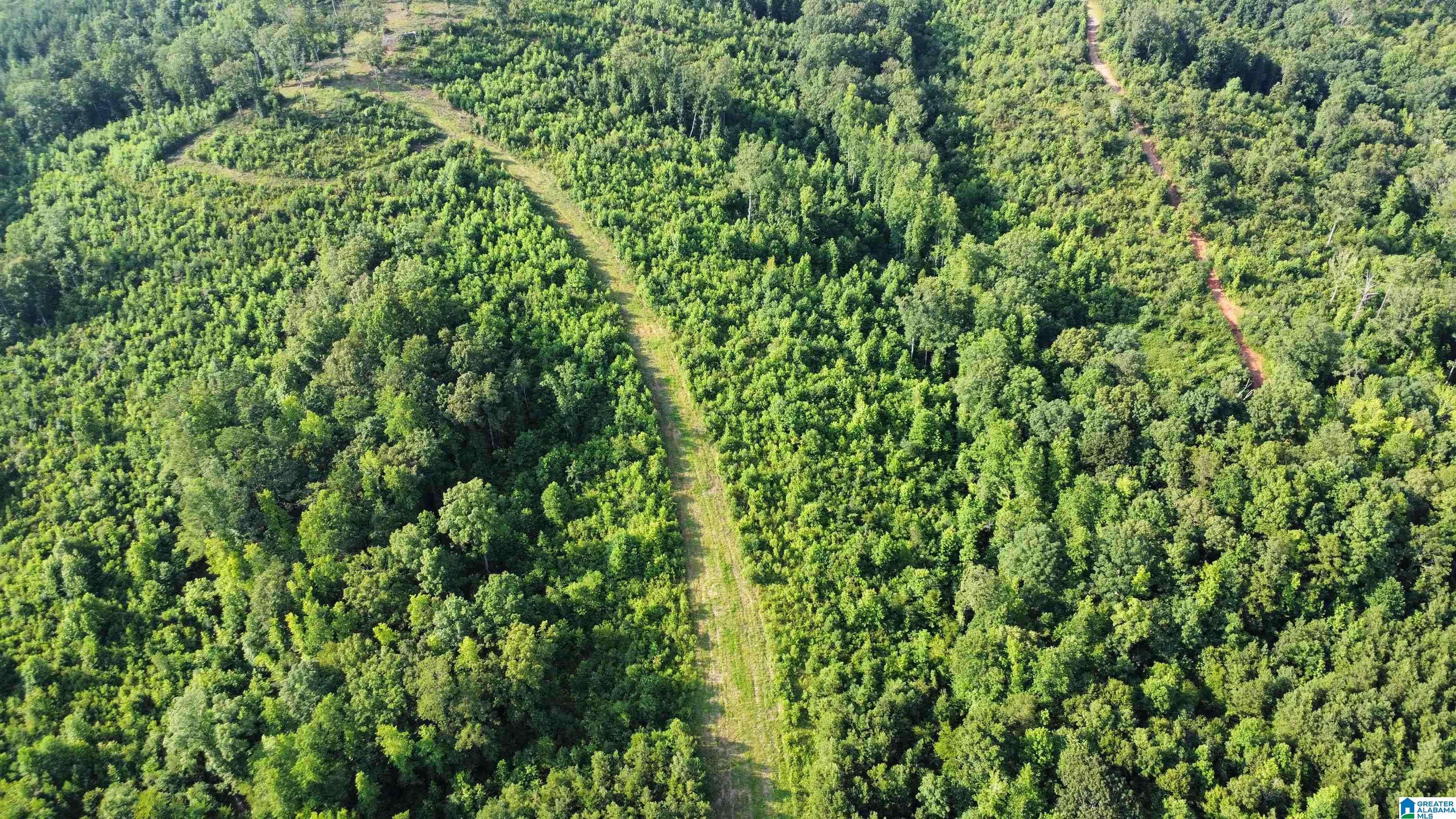 Heflin, AL 36264,6265 COUNTY ROAD 10 #0