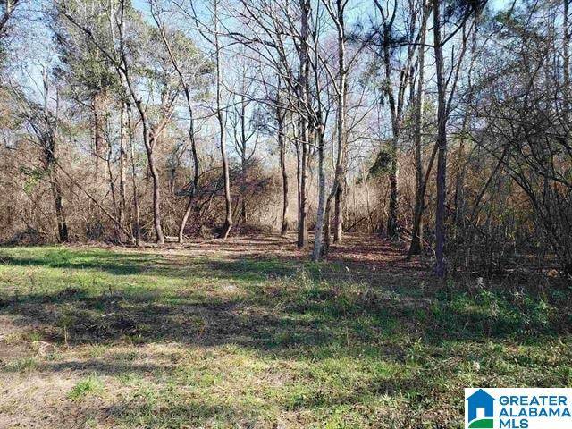 0 MIMS CIRCLE #NA, Clanton, AL 35046