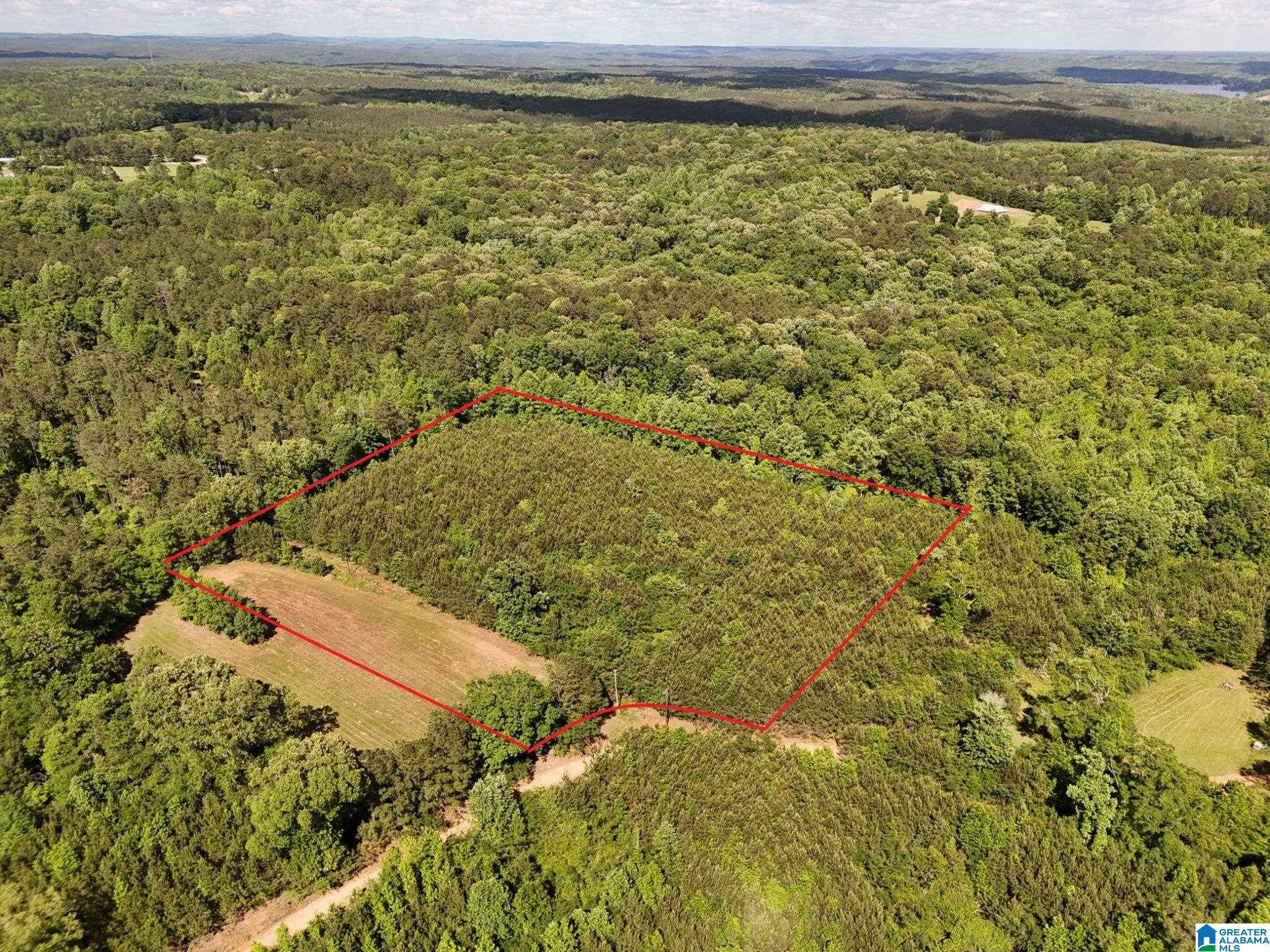 0 COUNTY ROAD 788 #0, Clanton, AL 35046