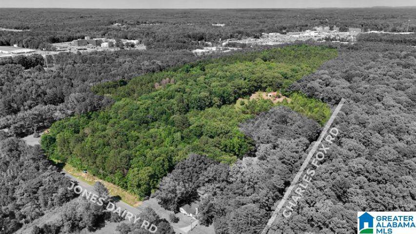 0 JONES DAIRY ROAD ##0, Jasper, AL 35501