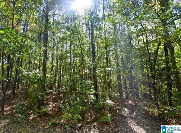 Clanton, AL 35046,0 COUNTY ROAD 61 #-