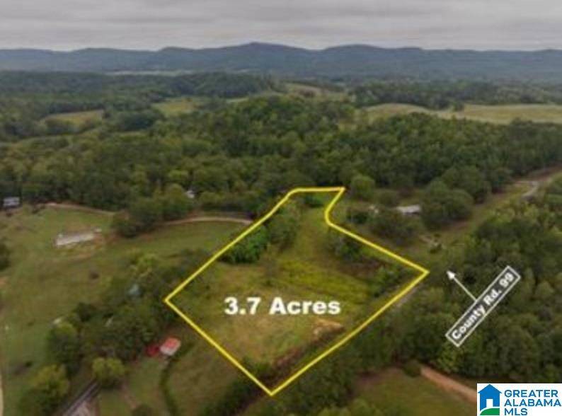00 COUNTY ROAD 99 #0, Gaylesville, AL 35973