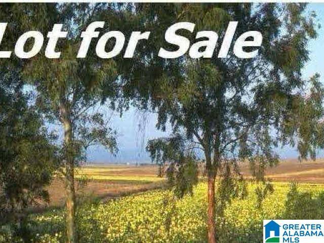 00 HIGHWAY 33, Pelham, AL 35124