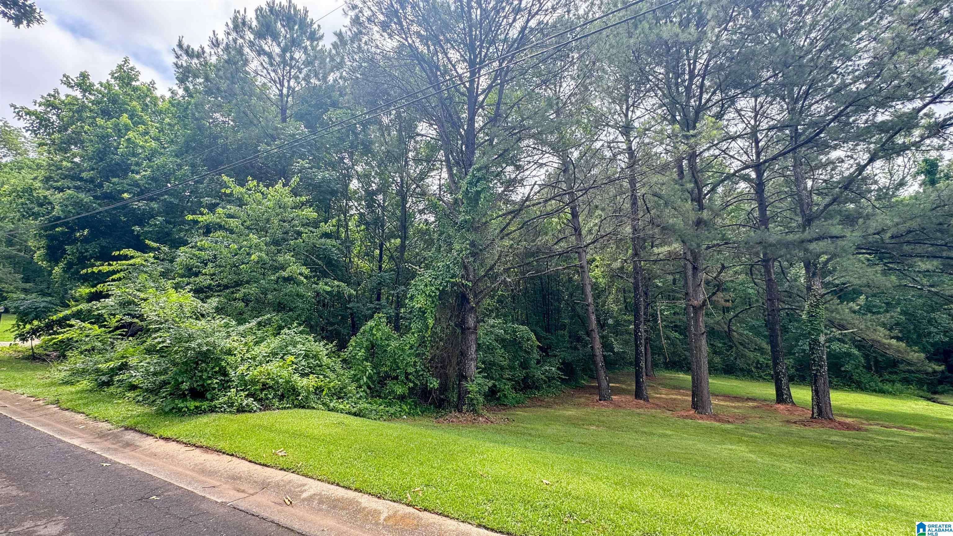 Mccalla, AL 35111,PEYTON DRIVE #47/1