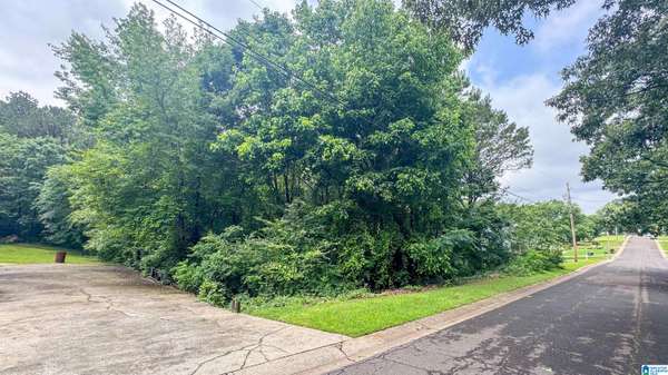 PEYTON DRIVE #47/1, Mccalla, AL 35111