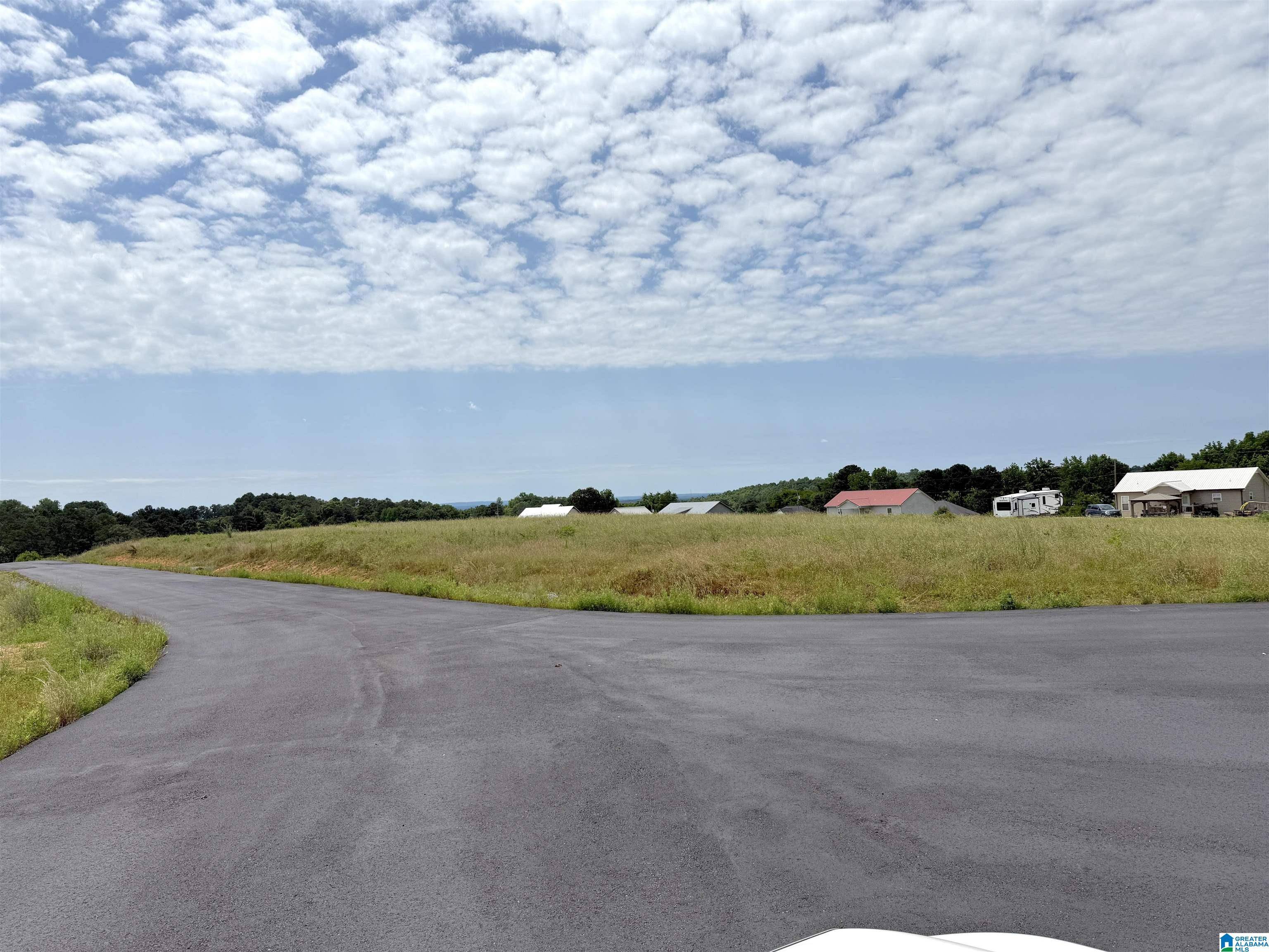 Hayden, AL 35079,0 PAYTON DRIVE #1