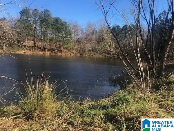 Locust Fork, AL 35097,#0 SHADY POINT ROAD #18, 18 & 19