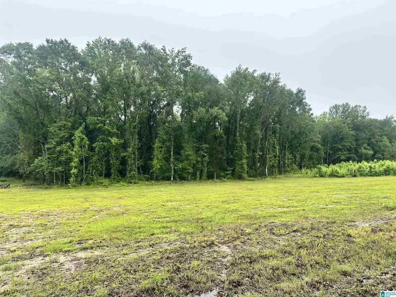 0 WARD SCHOOL ROAD #3, Centreville, AL 35042