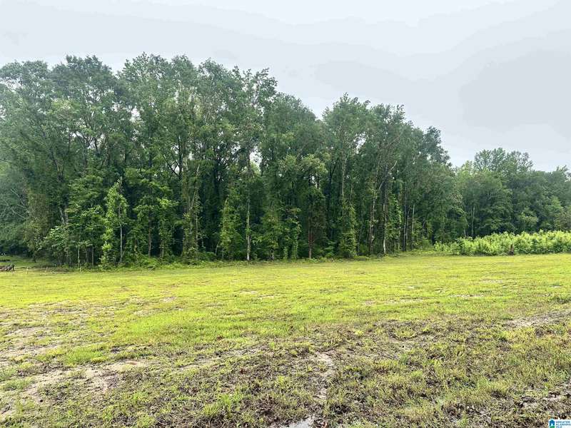 0 WARD SCHOOL ROAD #3, Centreville, AL 35042