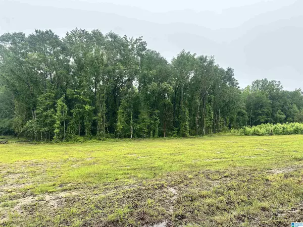 0 WARD SCHOOL ROAD #3, Centreville, AL 35042