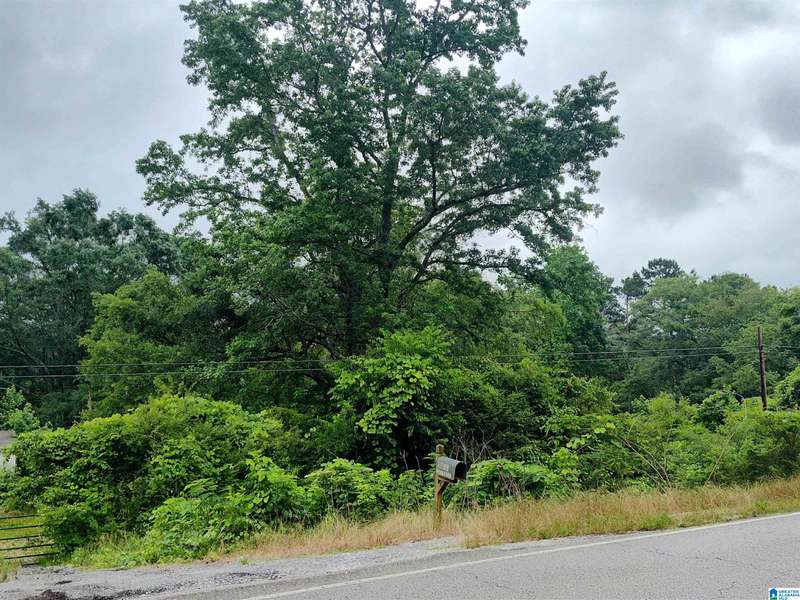 12 RIVER BEND CIRCLE #12, Talladega, AL 35160