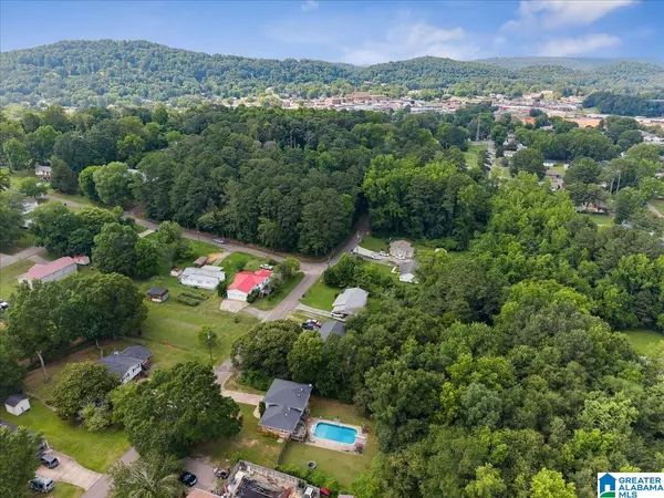Oneonta, AL 35121,703 S 2ND STREET S