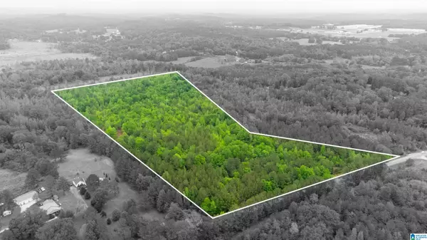 Talladega, AL 35160,00 COVE ACCESS ROAD #28