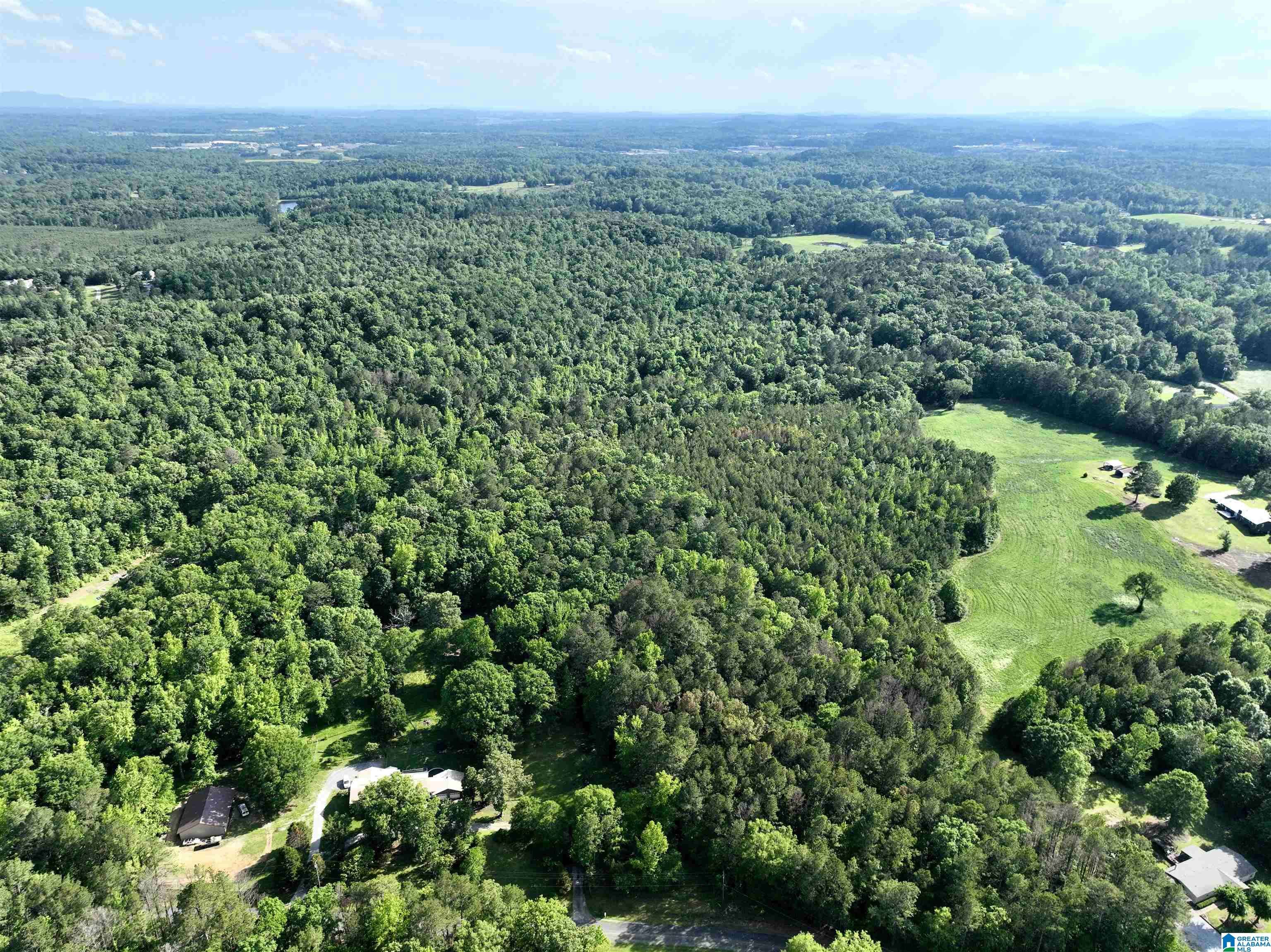 Pell City, AL 35125,154 DEER TRACE ROAD #X