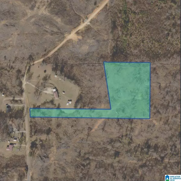 206 CAMERON LANE #1, Munford, AL 36268