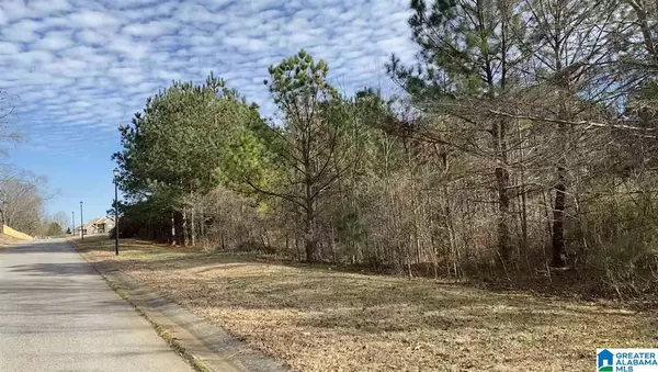 Thorsby, AL 35171,Lot 22 COUNTY ROAD 70 #22
