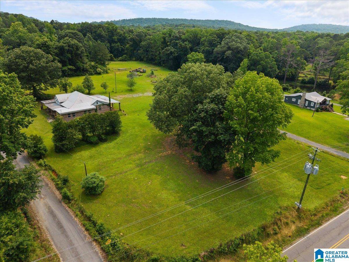 40 SULFUR SPRINGS ROAD, Springville, AL 35146