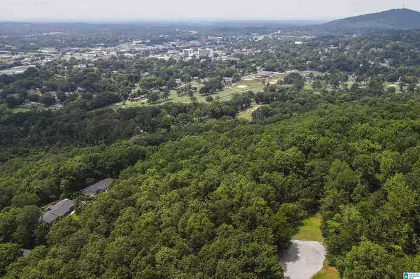 Anniston, AL 36207,0 REBECCA TRAIL #6.07 ac