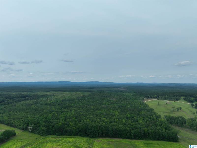 JACKSON FARM ROAD #0, Wilsonville, AL 35186