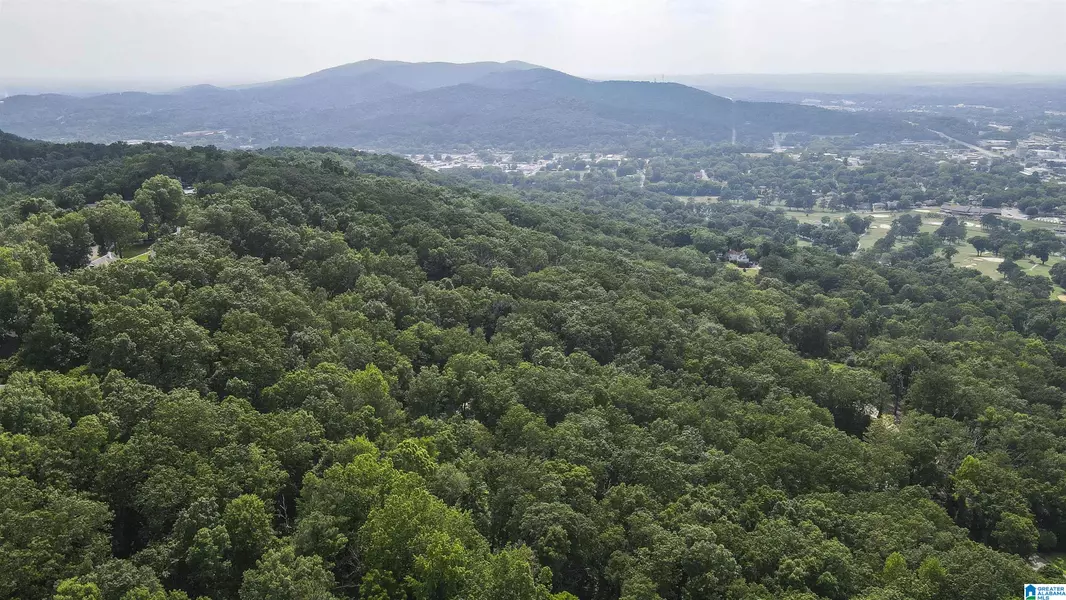 0 LANIER PLACE #26.25 ac, Anniston, AL 36207