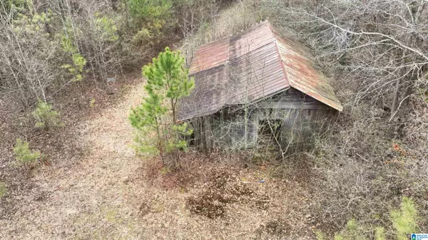 Phil Campbell, AL 35581,00 KENT DRIVE #00