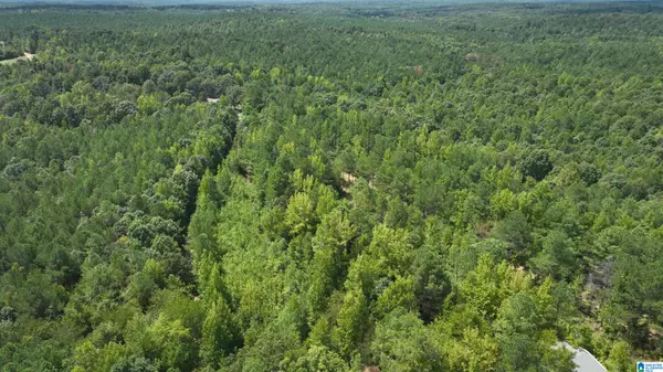 Beaverton, AL 35544,00 DOUGLAS DRIVE #1
