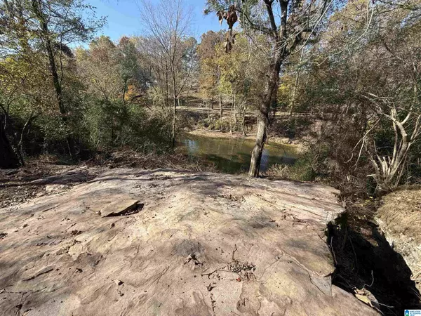 Blountsville, AL 35031,163 COUNTY HIGHWAY 34