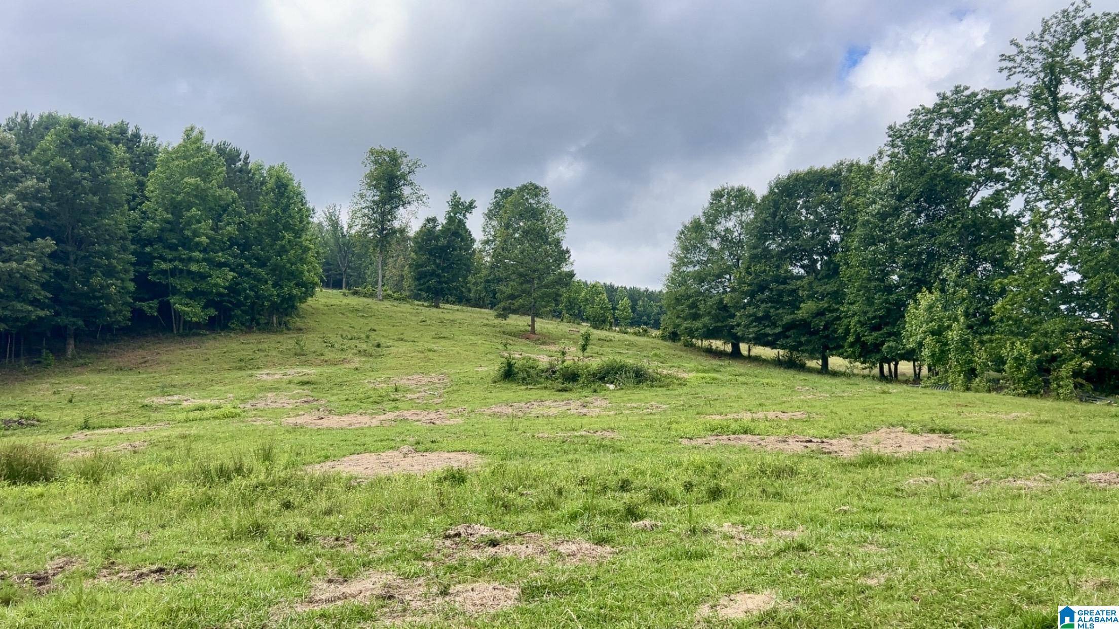 988 MINES ROAD #100,  Ashland,  AL 36251