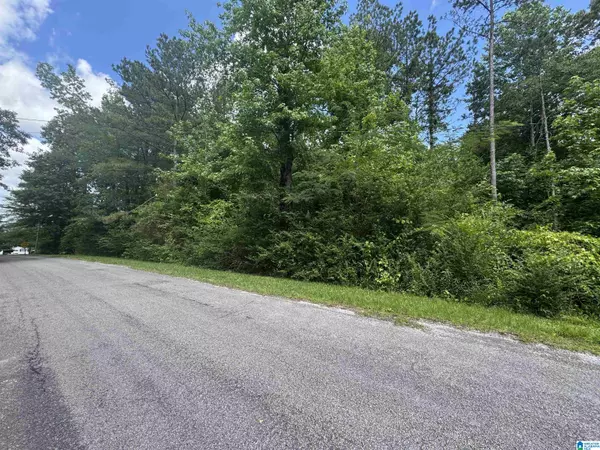 Guin, AL 35563,0 COUNTY ROAD 88 #1