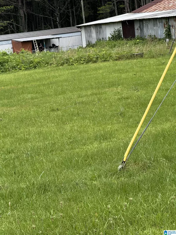 Haleyville, AL 35565,1293 COUNTY ROAD 196