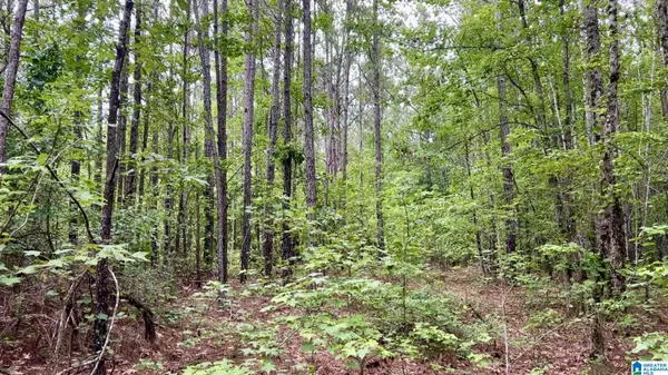 Roanoke, AL 36274,0 COUNTY ROAD 645 #1