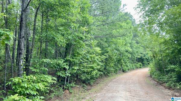 0 COUNTY ROAD 645 #1, Roanoke, AL 36274