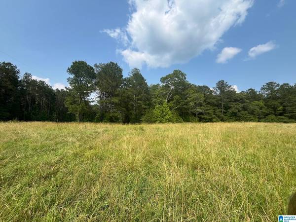 COUNTY ROAD 91 #none, Roanoke, AL 36274