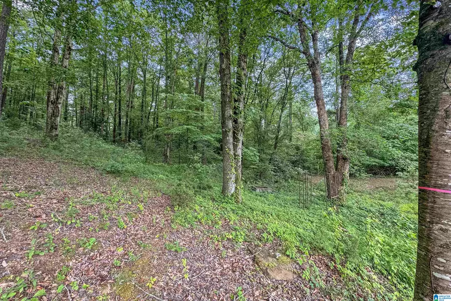 0 RED OAK CIRCLE #0, Helena, AL 35080