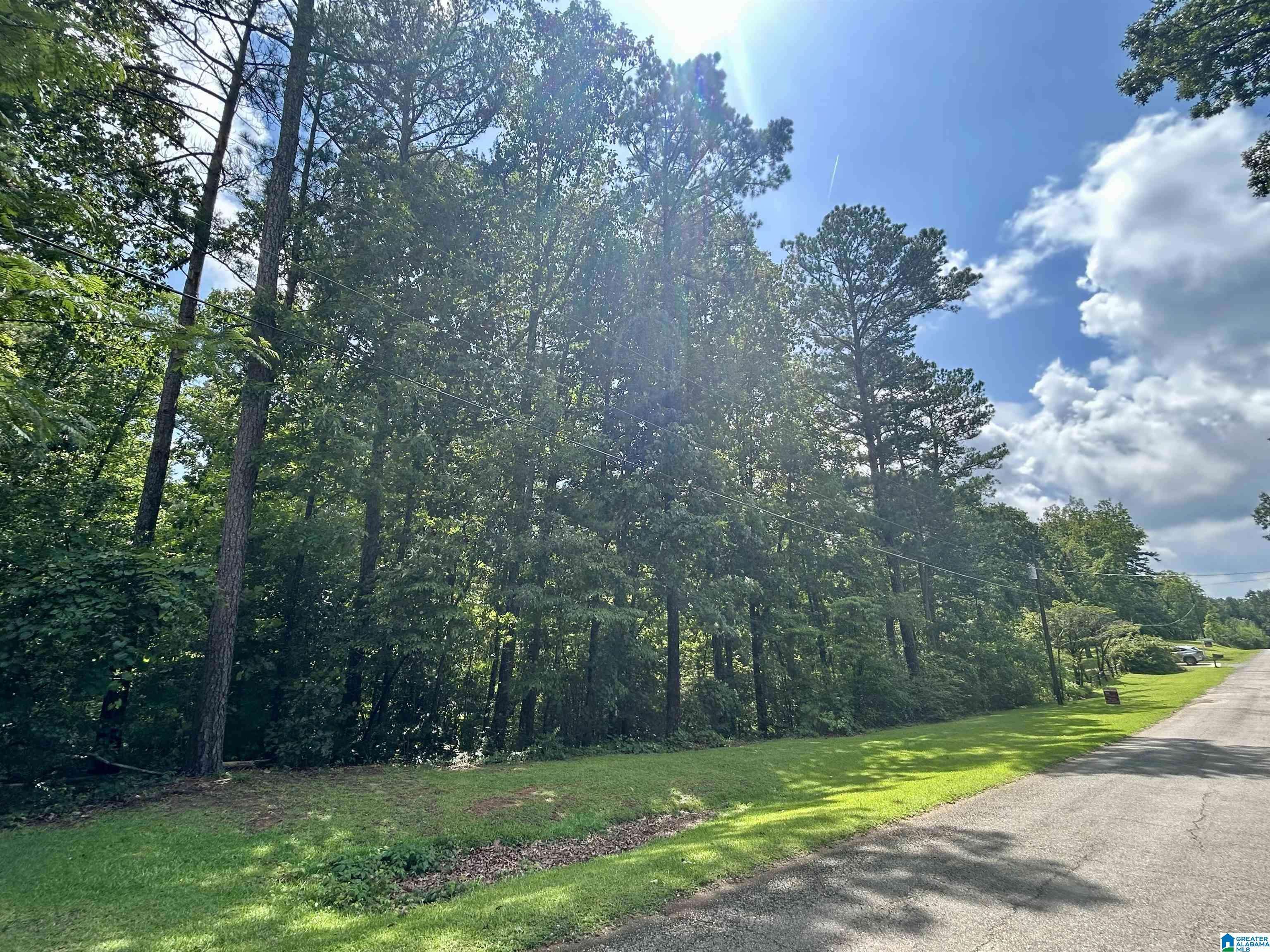 FOREST DRIVE #1, Warrior, AL 35180
