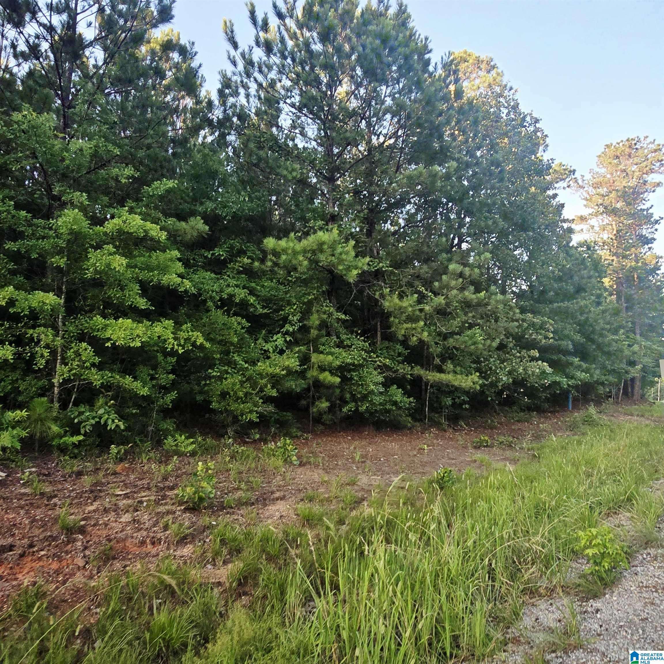 Maplesville, AL 36750