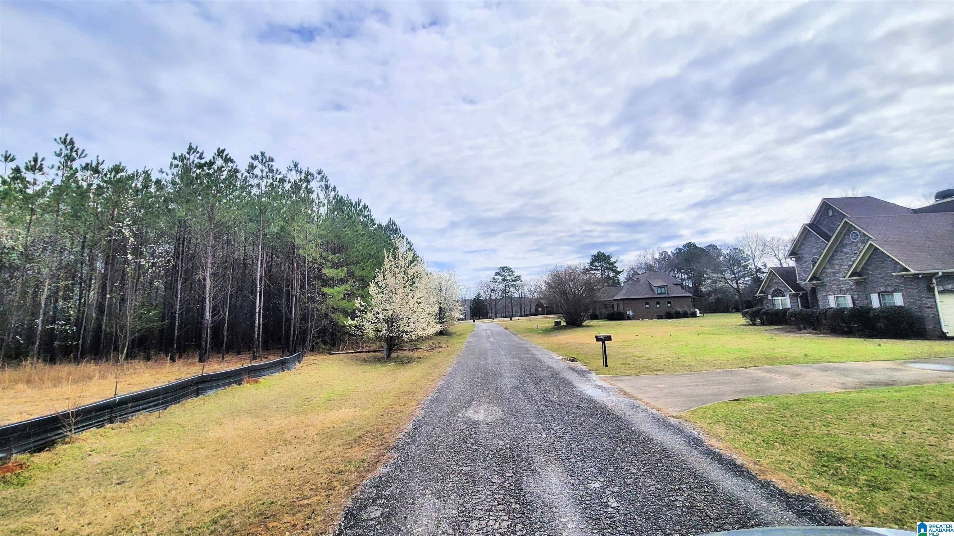 Harpersville, AL 35078,1077 CHANCELLORS FERRY LOOP #35