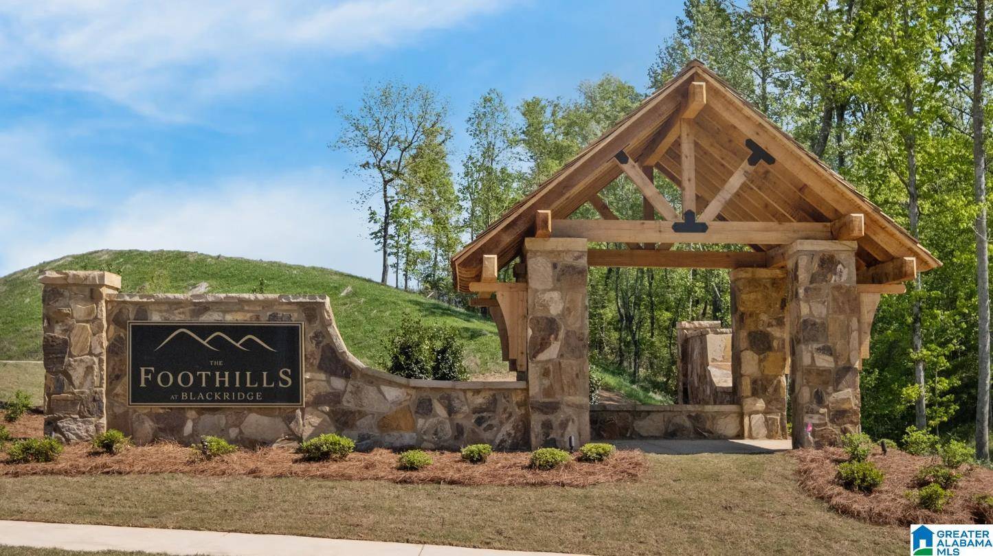 Hoover, AL 35244,4005 MARTIN BROOK CIRCLE