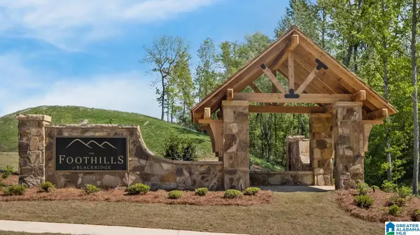 Hoover, AL 35244,4005 MARTIN BROOK CIRCLE
