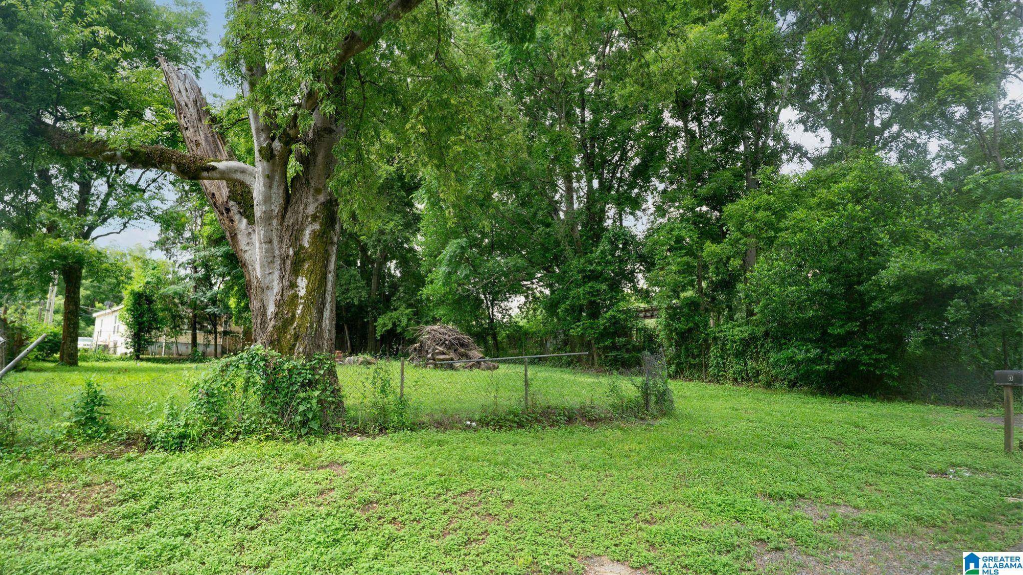 Tuscaloosa, AL 35404,5 COKE AVENUE NE #4