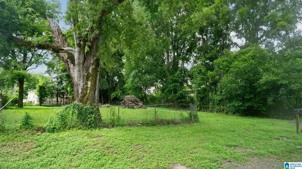 Tuscaloosa, AL 35404,5 COKE AVENUE NE #4