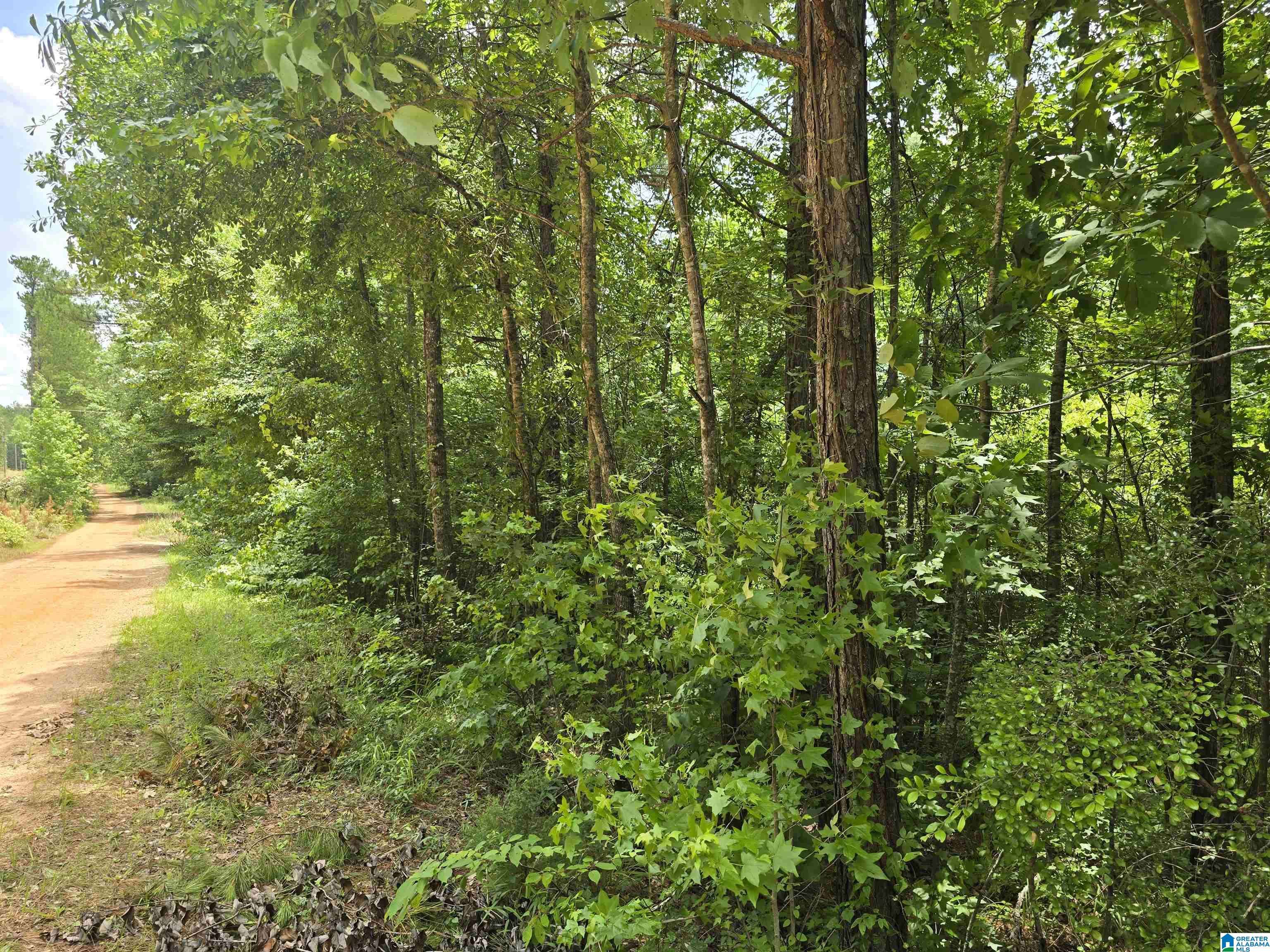 0 COOSA COUNTY ROAD 118 #7, Rockford, AL 35136