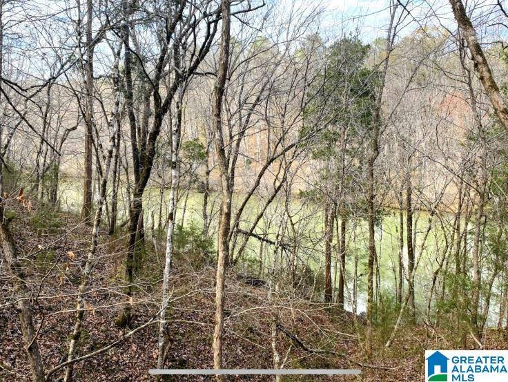 Northport, AL 35474,N HAGLER ROAD #1